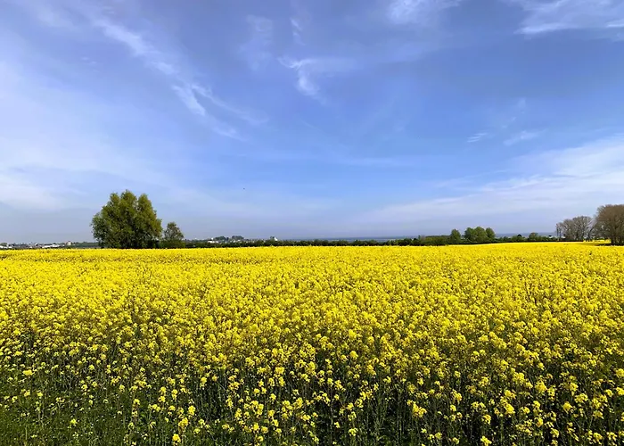 Leuchtturm15 Appartamento *